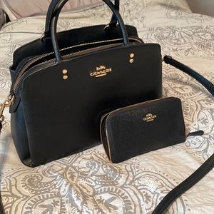 Coach Lillie Carryall and wallet set